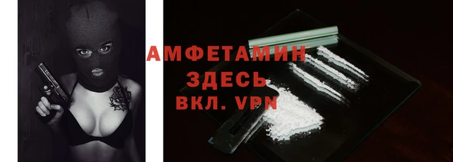 шишки Володарск