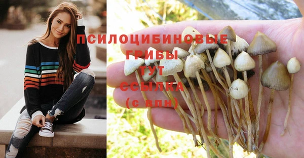 прущая мука Верхний Тагил
