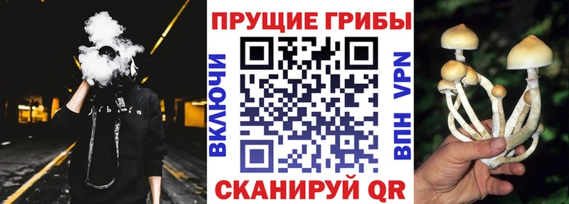 Купить  Всеволожск  Псилоцибиновые грибы мухоморы 